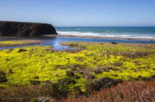 San Carpoforo creek beach-0192